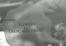 Flowers by Cheng Man-ch’ing