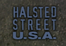 Halsted Street, USA